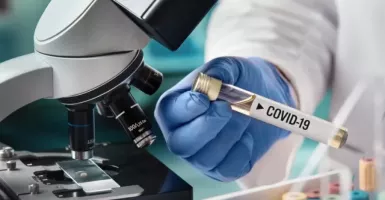 Antibodi Virus Corona Sudah Ditemukan, Namanya 47D11