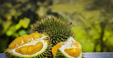 7 Khasiat Ajaib Makan Durian Bisa Bikin Melongo