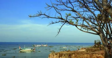 Menilik Pesona Pulau Giliyang, Pemilik Oksigen Terbaik di Dunia