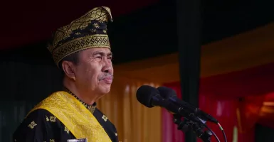 Gubernur Riau Bentuk Tim Penertiban Kebun Sawit Ilegal 