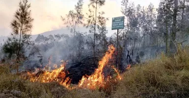 Kebakaran Hutan di Lereng Gunung Arjuno, 64 Pendaki Dievakuasi