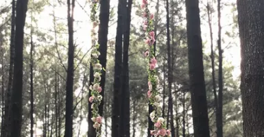 Hutan Pinus Gunung Pancar, Manjakan Wisatawan di Alam Bebas