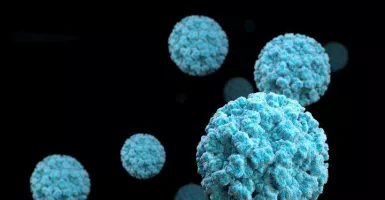 China Jadi Gudang Virus, Setelah Corona Muncul Norovirus