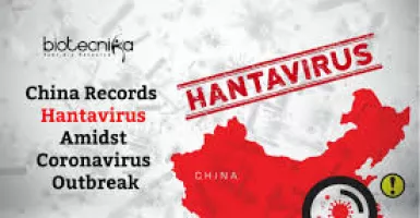 Setelah Corona, China Digegerkan dengan Hantavirus
