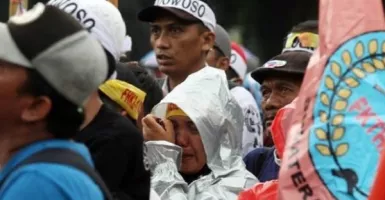 Pak Jokowi Nggak Kasihan Lihat Honorer K2 Mundur Alon-alon?