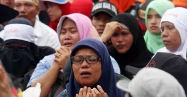 Pak Jokowi Sadarlah, Honorer K2 Sangat Sakit Hati...