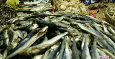 Ikan Berformalin Ditemukan di Pasar Kulon Progo