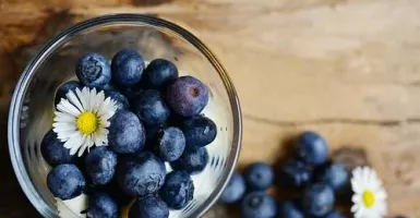 Manfaat Blueberry Ternyata Luar Biasa