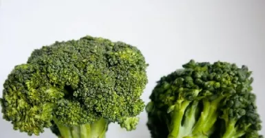 Awas! Makan Brokoli Mentah Ternyata Efeknya Begini