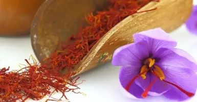 Manfaat Saffron untuk Tingkatkan Imun Tubuh Hingga Kecantikan