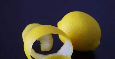 Luar Biasa... Kulit Lemon Bisa Sembuhkan Penyakit Kronis Ini