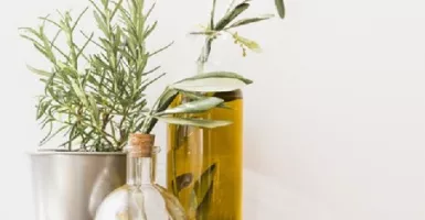 Manfaat Extra Virgin Olive Oil Sangat Luar Biasa Untuk Kesehatan