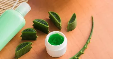 5 Produk Kecantikan Dengan Bahan Aloe Vera yang Laris Di Pasaran