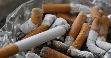 Hasil Penelitian, Merokok Dapat Menyebabkan Penuaan Dini