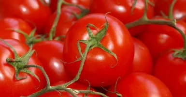 Jangan Remehkan, Manfaat Tomat Ternyata Sangat Mencengangkan