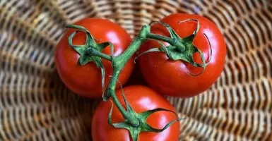 Khasiat Makan Buah Tomat Ternyata Sangat Mencengangkan