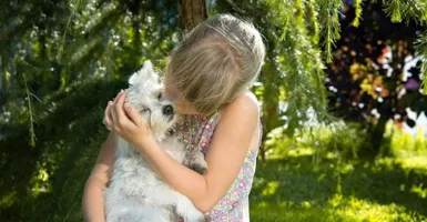Studi Riset: Pelihara Anjing Bisa Bikin Panjang Umur