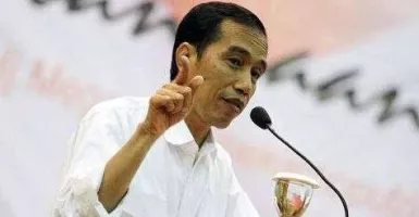 Jangan Bikin Jokowi Marah ya, Dampaknya Bisa Begini