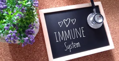4 Mitos Seputar Sistem Imun yang Harus Diluruskan