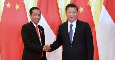 Rayuan Jokowi Dahsyat! Xi Jinping Bisa Kelepek-kelepek