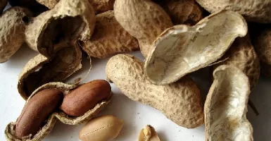 Khasiat Rutin Makan Kacang Ternyata Bikin Penyakit Kronis Ambrol