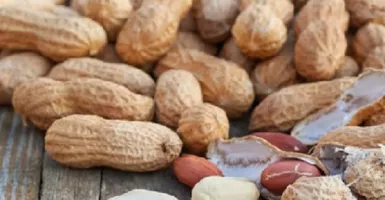 Ajaib! Rutin Makan Kacang Tanah Ternyata Khasiatnya Bikin Melongo