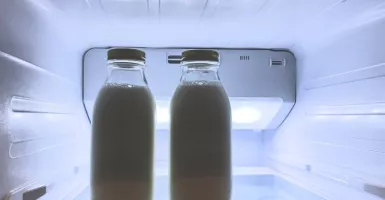 4 Tips Membersihkan Bunga Es di Freezer Kulkas