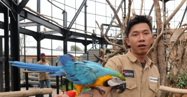Bermain dan Berinteraksi dengan 350 Satwa di Lembang Park & Zoo