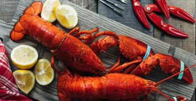 Kamu Wajib Tahu Loh, Ini 4 Fakta Menarik Lobster