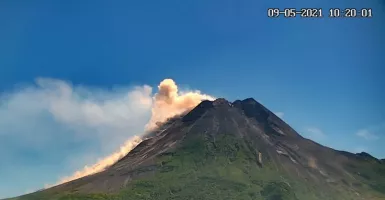Aktivitas Vulkanik, Awan Panas Merapi Meluncur 1,5 Kilometer