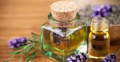 4 Khasiat Ampuh Minyak Lavender, Nomor 1 Bikin Kinclong