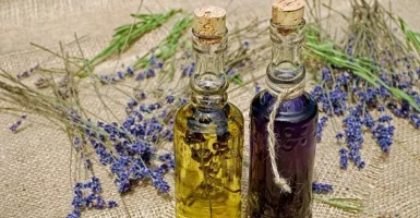 5 Aroma Essensial Oil yang Ampuh Redakan Pilek Tanpa Obat