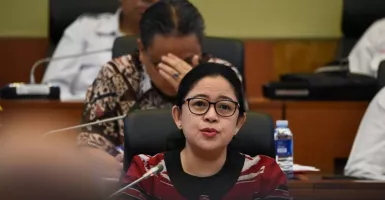 PDIP Usung Puan Maharani di Pilpres 2024, Pakar Bongkar Fakta Ini