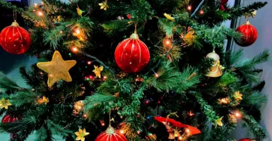 3 Fakta Unik Seputar Pohon Natal yang Jarang Diketahui