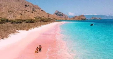 Tak Ada Duanya, Pantai Pink NTT Sihir Para Pelancong Dunia