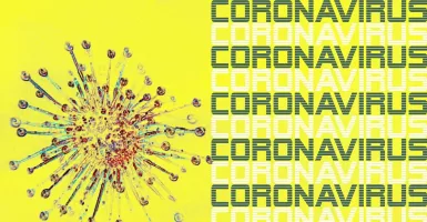 Deteksi Corona Lewat Bau, Aromanya Ternyata…