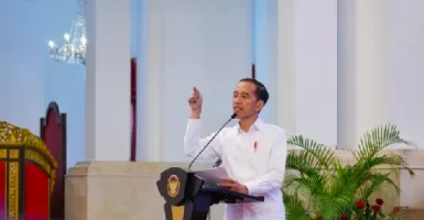 Menterinya Mulai Mbalelo, Jokowi Makin Puyeng