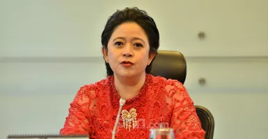 Kekayaan Puan Maharani dengan 3 Wakil Ketua DPR Jomplang, Gengs!
