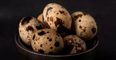 Awas! Telur Puyuh Menyimpan Bahaya Kolesterol