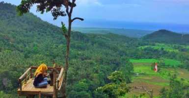 Rumah Pohon Gangga, Destinasi Serba Hijau di Lombok