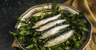 Kaya Mineral dan Protein, Segudang Manfaat Konsumsi Ikan Sarden