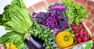 4 Cara Memasak Sayur agar Nutrisinya Tidak Hilang