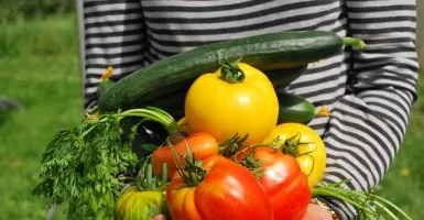 Tips Sederhana Menanam Sayuran di Rumah, Dijamin Berhasil!
