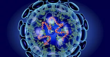 Corona Makin Ngeri! Fakta Terbaru, Virus Menular Lewat Udara 