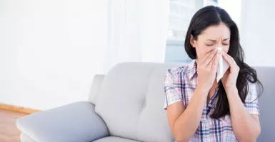 3 Penyebab Alergi yang Bersarang di dalam Rumah