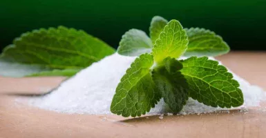 Stevia, Tanaman Pengganti Gula yang Ampuh untuk Diabetes