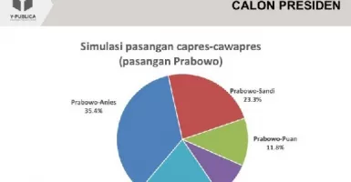 Hasil Survei Terkini: Prabowo-Anies Kalahkan Prabowo-Puan