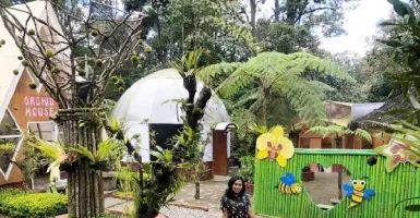 Pesona 4 Spot Instagramable di Taman Pendidikan Tangkuban Perahu