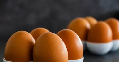 Makan Telur Tiap Hari Ternyata Manfaatnya Bikin Melongo