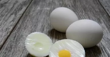 Rutin Makan 5 Butir Telur Puyuh, Manfaatnya Bikin Melongo